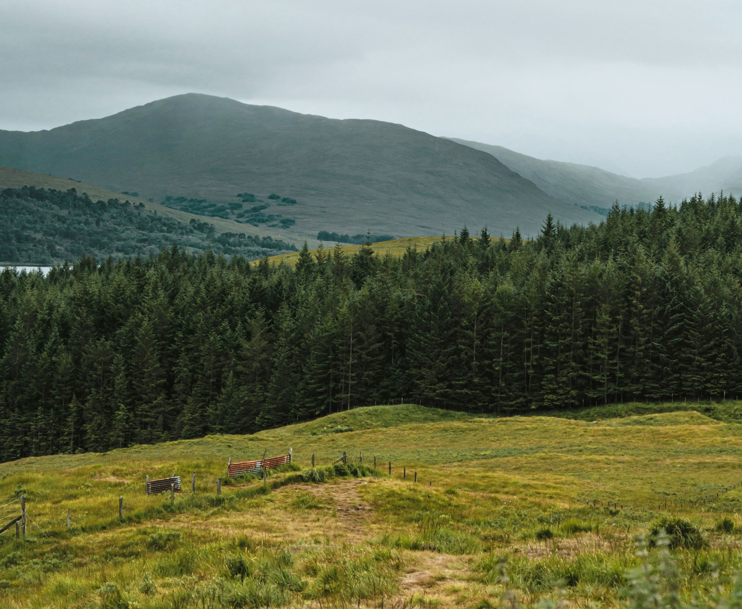 Scottish-highlands-inverness-tree-landscape-.jpg